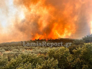 Φωτιά στην Λαμία: Τέσσερα άτομα στο νοσοκομείο
