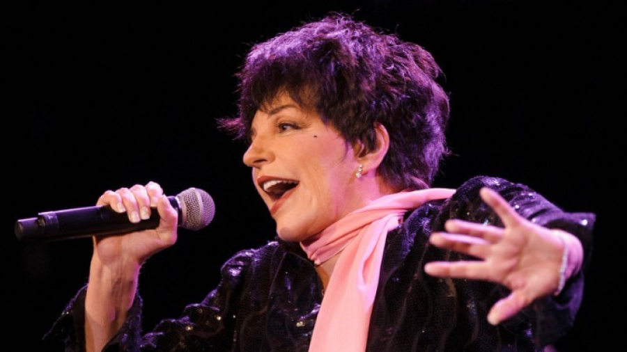 Η επιθυμία της Λάιζα Μινέλι για οικογένεια