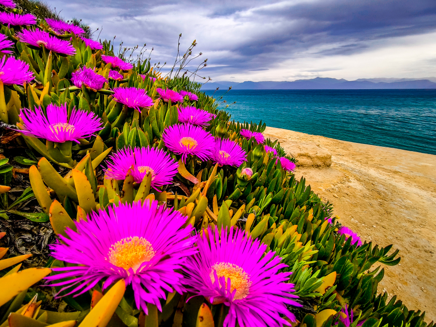 Με τι καιρό θα κάνουμε Ανάσταση και Πάσχα