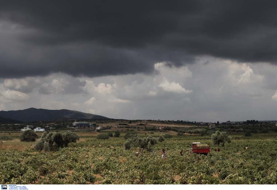 Παρατείνεται η υποβολή στοιχείων συμβάσεων συμβολαιακής γεωργίας για το φόρο των αγροτών