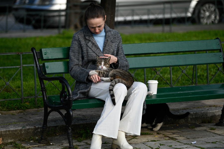 Ο κώδικας επικοινωνίας με τη γάτα μας, γιατί κάθεται με ανοιχτό το στόμα και της αρέσει να κοιμάται ανάσκελα
