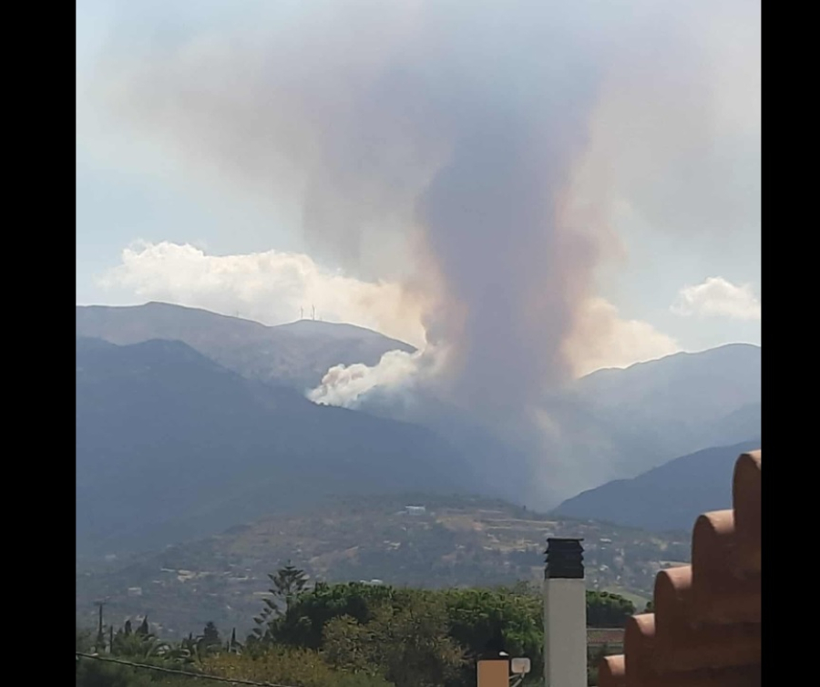 Φωτιά τώρα στην Πάτρα, επιχειρούν 8 εναέρια