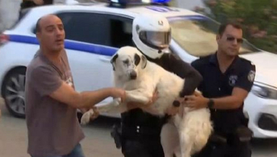 Φωτιά στη Μάνδρα: Αστυνομικοί μεταφέρουν αγκαλιά ένα τρομοκρατημένο σκυλάκι -Συγκινητική στιγμή