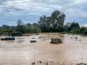 Ηγουμενίτσα: Αυτοψίες της Δ.Α.Ε.Φ.Κ σε κατοικίες και επιχειρήσεις που επλήγησαν από την κακοκαιρία