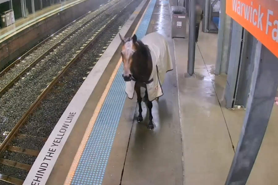 Όταν ένα άλογο μπήκε σε σιδηροδρομικό σταθμό