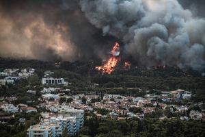ΜέΡΑ 25: «Απαγόρευση της αλλαγής χρήσης γης για 30 χρόνια στα καμένα»