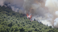 Φωτιά τώρα: Δείτε live χάρτη με τα πύρινα μέτωπα