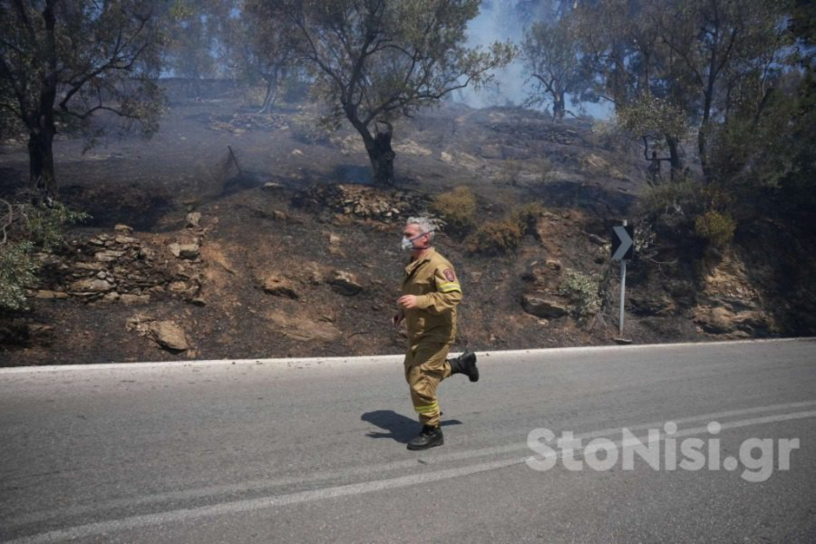 Φωτιά στη Λέσβο: Αυξήθηκαν οι επίγειες δυνάμεις, εκκενώθηκε δημοτικό σχολείο (Εικόνες)
