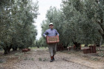 photo: Eurokinissi