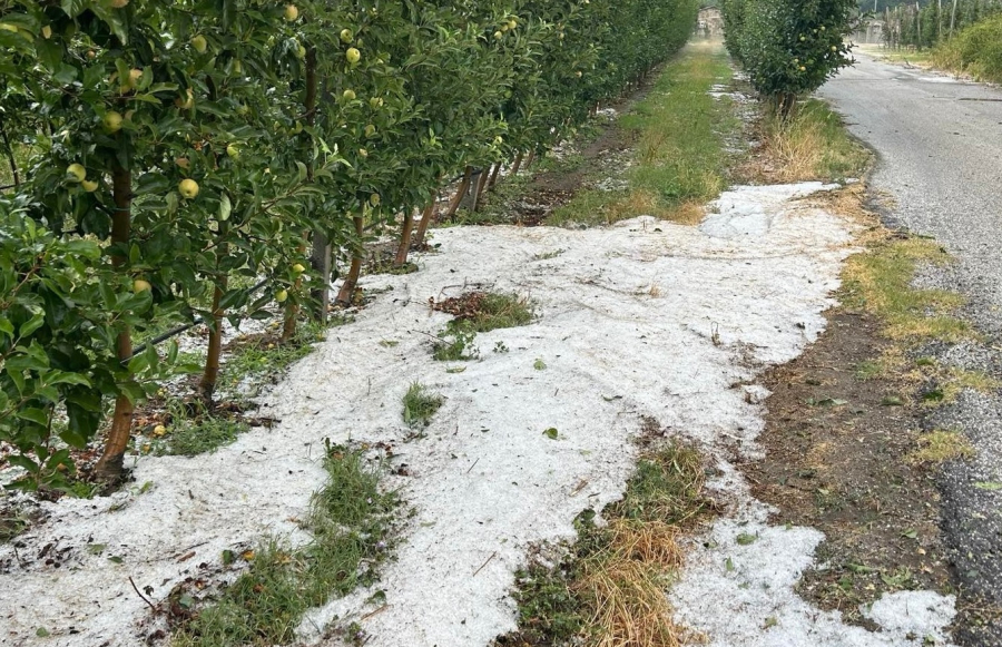 Ισχυρή χαλαζόπτωση στην Καστοριά - Σοβαρές ζημιές στις καλλιέργειες (video)