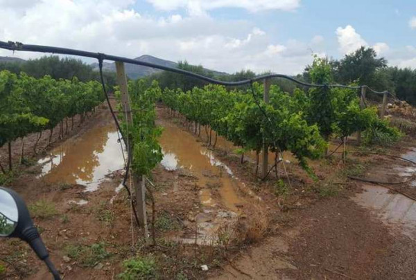 Ρύθμιση οφειλών για επιχειρήσεις της Περιφέρειας Πελοποννήσου που υπέστησαν ζημιές από έντονα καιρικά φαινόμενα