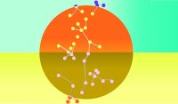 Το Εθνικό Μουσείο Φυσικής Ιστορίας Γουλανδρή γιορτάζει φέτος τη Διεθνή Ημέρα Μουσείων