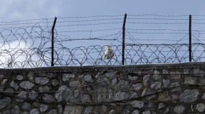 Πέθανε 30χρονος κρατούμενος στις φυλακές στα Τρίκαλα