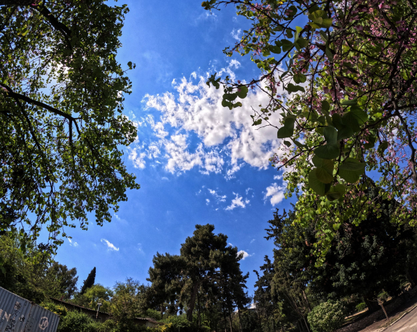 Νέο καμπανάκι από Copernicus: Ιστορικά ρεκόρ θερμοκρασιών σπάνε από μήνα σε μήνα