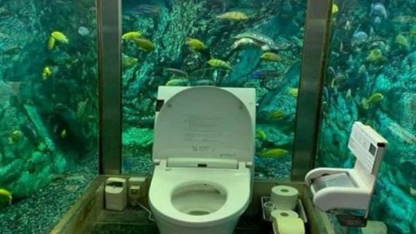 Αυτή η καφετέρια έγινε τουριστικό αξιοθέατο - Πού "έκρυψε" ένα απίστευτο ενυδρείο (vid)