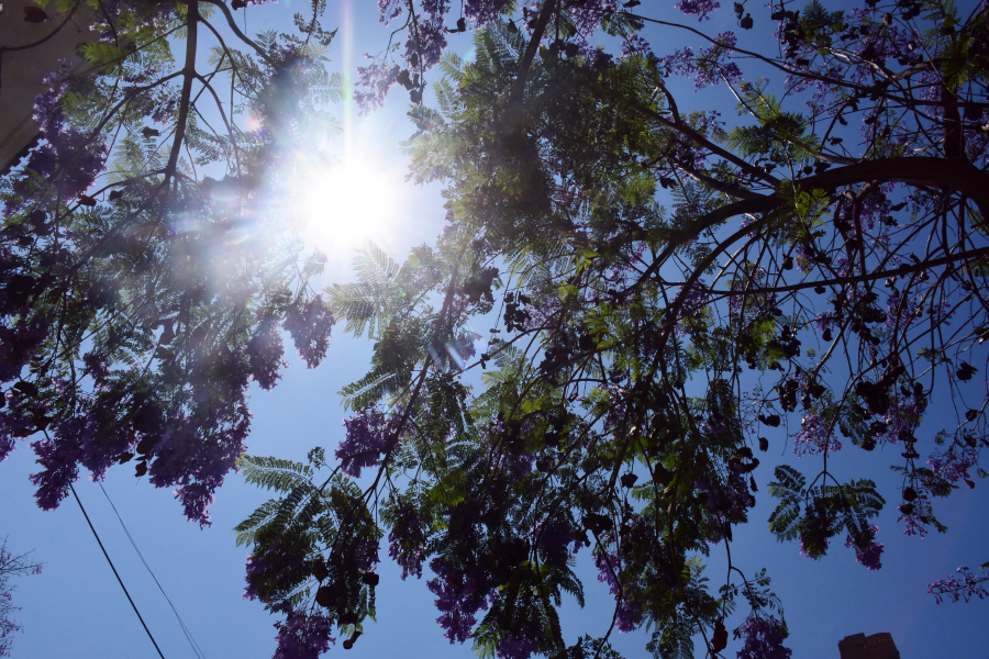 Καιρός: Ανεβαίνει το θερμόμετρο - Πιο ζεστή ημέρα η Παρασκευή