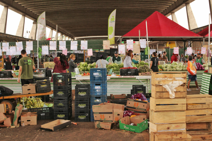 pexels/Marcelo Lemes