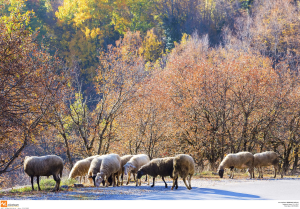 Νέες αποκαλύψεις για Σεμερτζίδου - ΟΠΕΚΕΠΕ, Απαντήσεις ζητούν ΠΑΣΟΚ, ΣΥΡΙΖΑ και Νέα Αριστερά