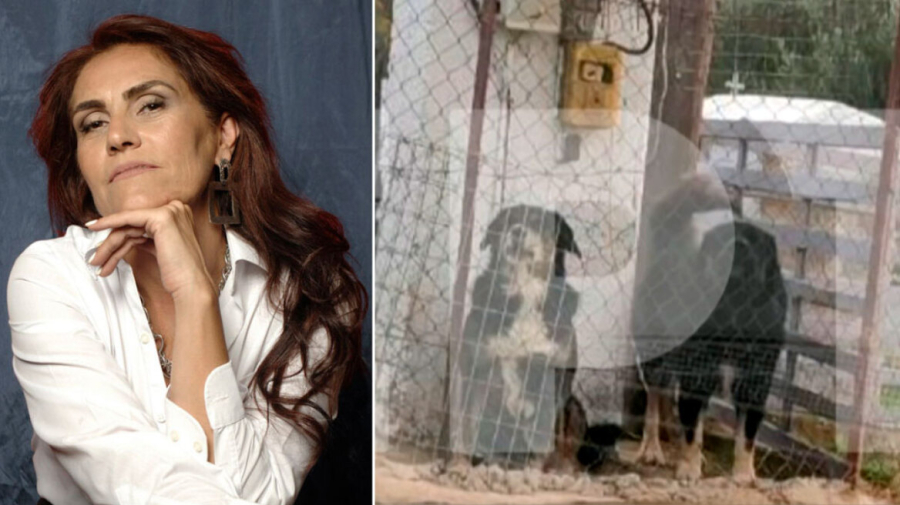 Θεσσαλονίκη: Στη φυλακή ο ιδιοκτήτης των σκυλιών που κατασπάραξαν την 50χρονη