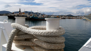 Τραγωδία στη Σαλαμίνα: Νεκρός οδηγός αυτοκίνητου που έπεσε στο λιμάνι