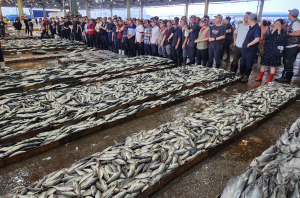Ιάπωνες ψαράδες αντιδρούν με το νερό της Φουκουσίμα, Κίνα και Χονγκ Κόνγκ δεν εισάγουν ψάρια