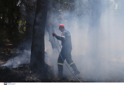 Υπό μερικό έλεγχο οι πυρκαγιές σε Κάρυστο και Πύλο -31 δασικές πυρκαγιές το τελευταίο 24ωρο