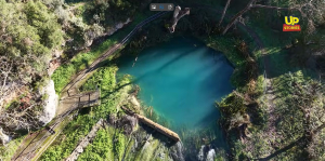 Αυτό είναι το Κλήμα του Παυσανία στην Πελοπόννησο: Το ζωντανό μυστήριο 3.000 ετών (Βίντεο Up Stories)