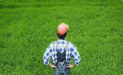 Βουλευτική τροπολογία για ευνοϊκότερη φορολόγηση των αγροτών