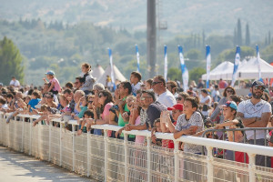 Περισσότεροι από 10.000 θεατές στη μεγάλη γιορτή των ιπποδρομιών, στο Markopoulo Park