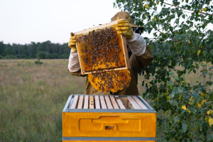 Beegin: Από τις στάχτες μιας καταστροφής, ανθίζει μια νέα ελπίδα