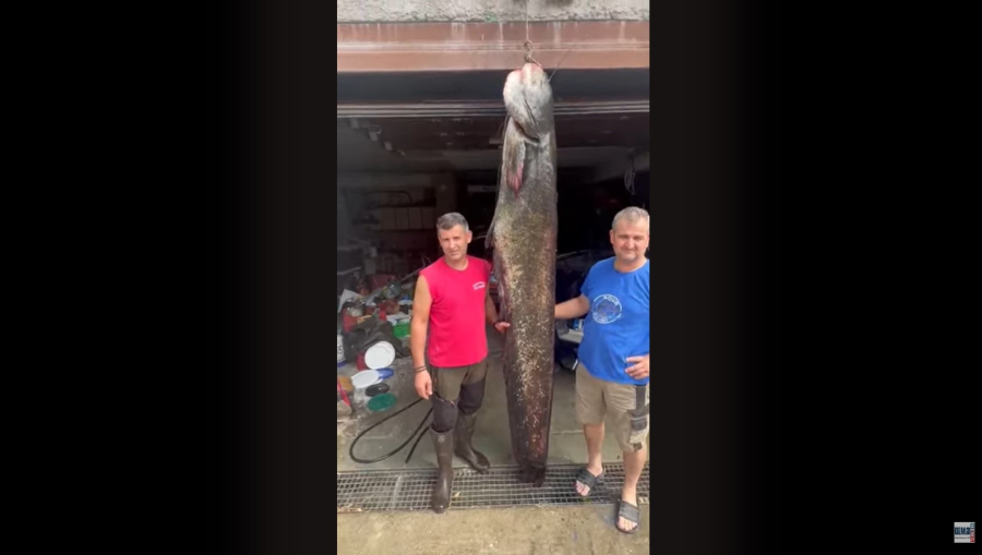 Η απίστευτη ψαριά δύο αδερφών στην Κοζάνη (εικόνα, βίντεο)