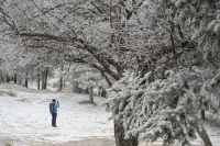 Ουκρανικό ψύχος στην Ελλάδα: Έρχεται η πιο κρύα μέρα με χιόνια - Τι θα γίνει στην Αττική