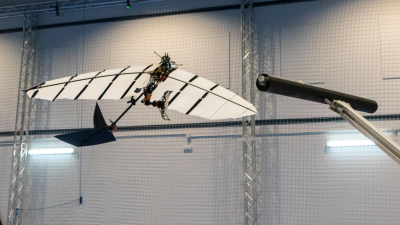 Ένα ρομποτικό «ορνιθόπτερο» μπορεί να προσγειωθεί και να κουρνιάσει σαν πουλί