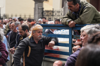 Αφθώδης πυρετός: 43 κρούσματα σε 54 εκτροφές της Λέσβου