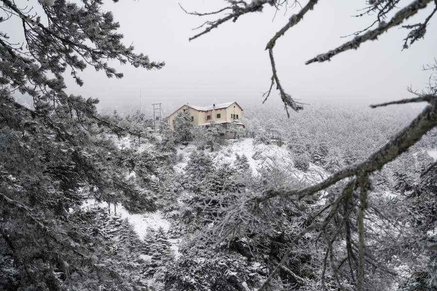 Λαγουβάρδος στο Dnews για κακοκαιρία Coral: Τι ισχύει για τα σενάρια για «άσπρη μέρα» - Προσοχή στον παγετό