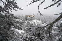 Λαγουβάρδος στο Dnews για κακοκαιρία Coral: Τι ισχύει για τα σενάρια για «άσπρη μέρα» - Προσοχή στον παγετό