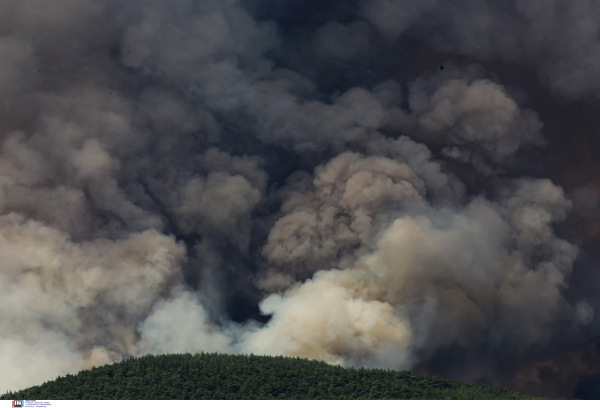 Έξι μήνες αναστολή πλειστηριασμών για τους πληγέντες των πυρκαγιών