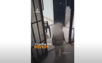 Η συγκλονιστική στιγμή που ανοίγουν τα κελιά των διαβόητων φυλακών του Άσαντ (βίντεο)