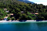 Η άγνωστη παραλία της Κεντρικής Εύβοιας που κρύβεται μέσα στα πεύκα