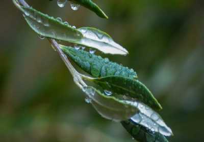 Ανησυχία στα Δωδεκάνηνα για την παρατεταμένη ανομβρία