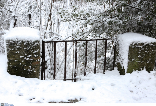 Βγαίνει έκτακτο δελτίο καιρού από την ΕΜΥ: Έρχεται... αγριεμένος ο «Διομήδης» (εικόνες)