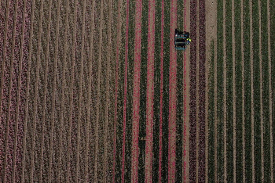 ΟΠΕΚΕΠΕ: Πώς ο «Φραπές» μάζεψε ζεστό χρήμα 2,5 εκατ. ευρώ