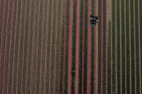 ΟΠΕΚΕΠΕ: Πώς ο «Φραπές» μάζεψε ζεστό χρήμα 2,5 εκατ. ευρώ