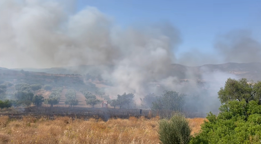 Φωτογραφία: Ειδήσεις Μεγάρων