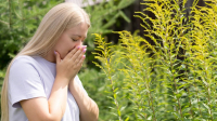Άσθμα και αλλεργίες την άνοιξη: Τι πρέπει να γνωρίζετε
