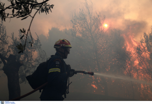 Μεγάλη πυρκαγιά στα Κερδύλια Σερρών