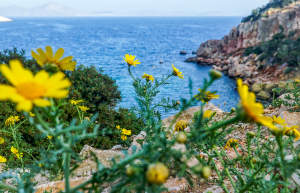 Με ανοιξιάτικο καιρό κάνει «ποδαρικό» ο Μάρτιος - Πού θα σημειωθούν τοπικές βροχές