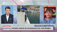 Καστελόριζο: Ο 11χρονος εξολοθρευτής των λαγοκέφαλων - Έπιασε 162 και έκανε ρεκόρ