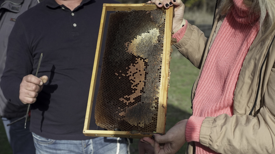 Τίποτα μικρό, όταν προέρχεται από τη φύση, δεν είναι πραγματικά μικρό