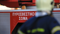 Από αμέλεια οι φωτιές σε Ιστιαία και Χίο: Δύο συλλήψεις από την Πυροσβεστική